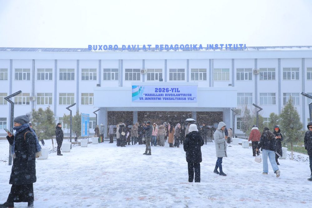 Снежные пейзажи в BuxDPI
