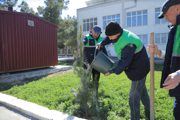 «Зелёный край» – сохранение природы, созидание будущего
