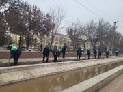 «Зелёный край»: Фундамент для будущего