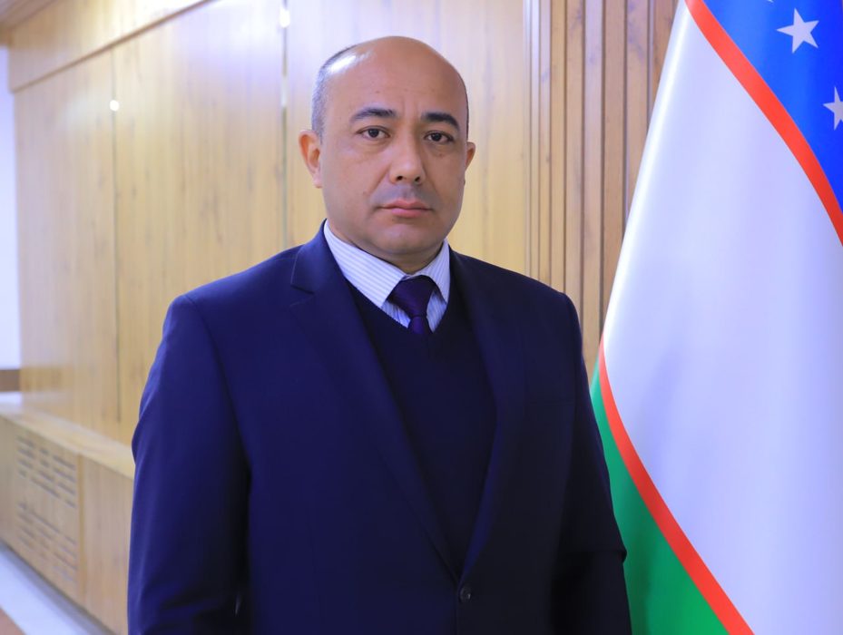 Отклик